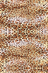 金色豹纹图案纹理背景