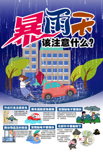 暴雨天海报