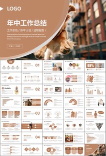 宠物行业医院美容宠物店ppt