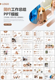 宠物行业医院美容宠物店ppt