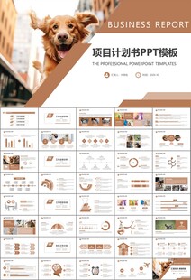 宠物行业医院美容宠物店ppt