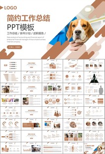 宠物行业医院美容宠物店ppt