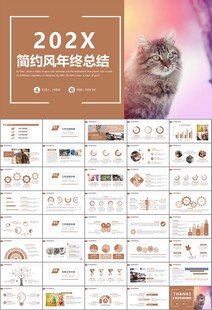 宠物行业医院美容宠物店ppt