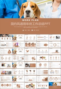 宠物行业医院美容宠物店ppt