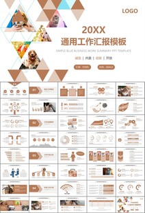 宠物行业医院美容宠物店ppt