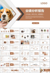 宠物行业医院美容宠物店ppt