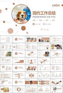 宠物行业医院美容宠物店ppt