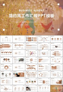 宠物行业医院美容宠物店ppt