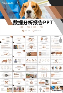 宠物行业医院美容宠物店ppt