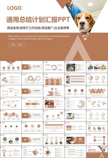 宠物行业医院美容宠物店ppt
