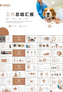 宠物行业医院美容宠物店ppt