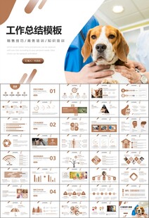 宠物行业医院美容宠物店ppt
