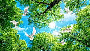 蓝天白云森林吊顶