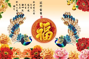 孔雀牡丹图