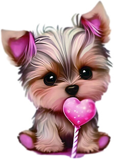 可爱约克夏叼着爱心棒棒糖