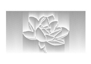 立体风 花朵 荷花 图案