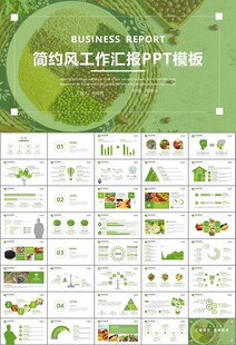 农产品生态农业农村电商ppt