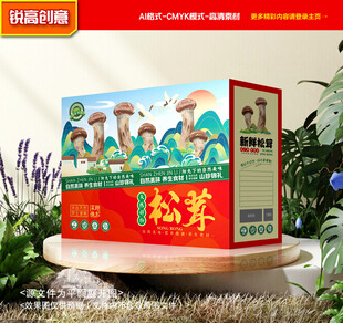 松茸包装 山珍礼盒