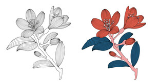 手绘花卉图案设计 花