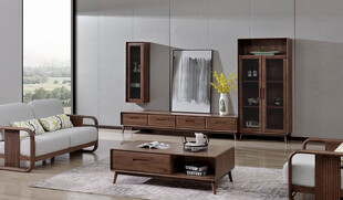 现代简约风格客厅家具组合