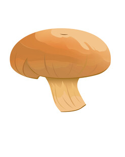 卡通风格的棕色蘑菇