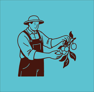 农夫采摘果实插画