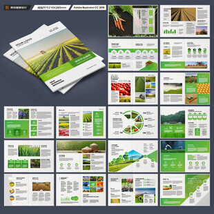 农产品宣传册