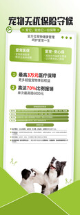 宠物无忧保险展架