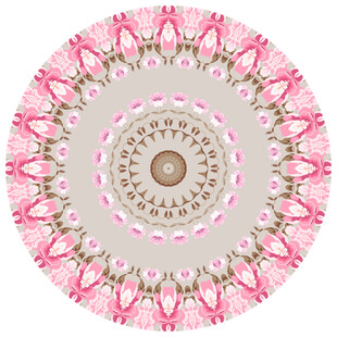 圆形粉色古典花纹