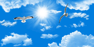 蓝天白云背景吊顶