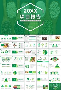 五谷杂粮健康饮食PPT