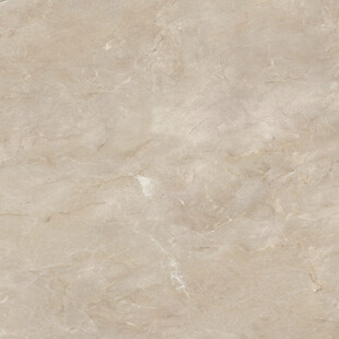 新传 爆款奢华石纹 高档大图 