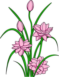 手绘粉色莲花插画 矢量图