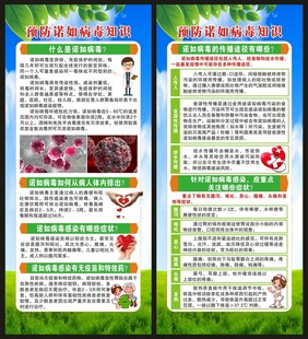 健康教育知识展架