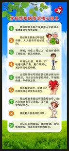学校结核病防治核心信息展架