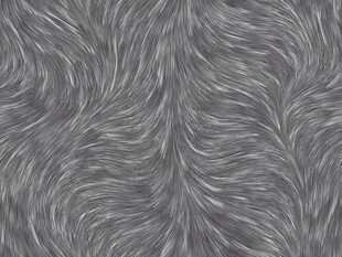 灰白相间毛发皮毛纹理