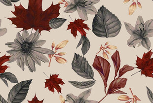 秋季花卉树叶图案背景