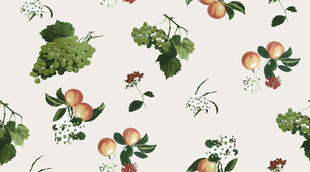 手绘水果花卉图案背景
