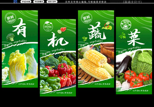 有机蔬菜 
