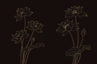 工笔线稿黑金描边风格荷花元素