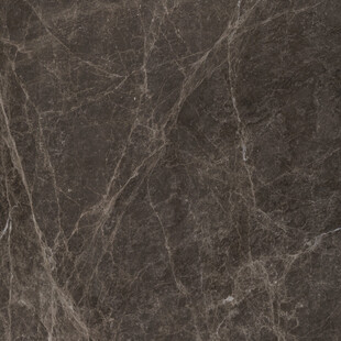 高雅 奢华新品石纹 简奢新图 