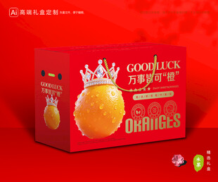 橙子包装 脐橙礼盒