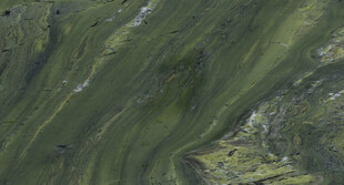 人气 高雅质感石材 高清大图 