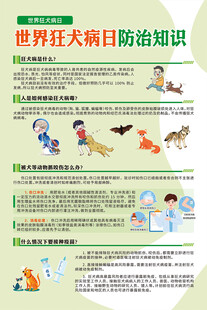 世界狂犬病日防治知识