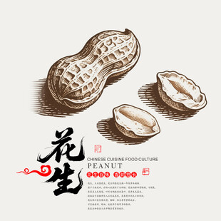 花生插画