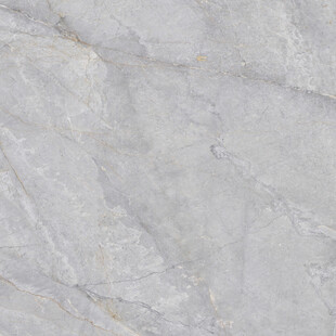 地板 奢雅新款纹理 高清大图 