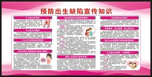 预防出生缺陷日宣传栏