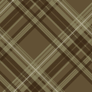 棕色格子纹理图案