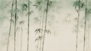 竹子背景相对清晰图片