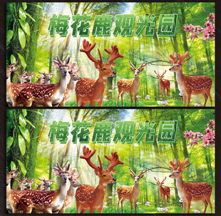 梅花鹿展板